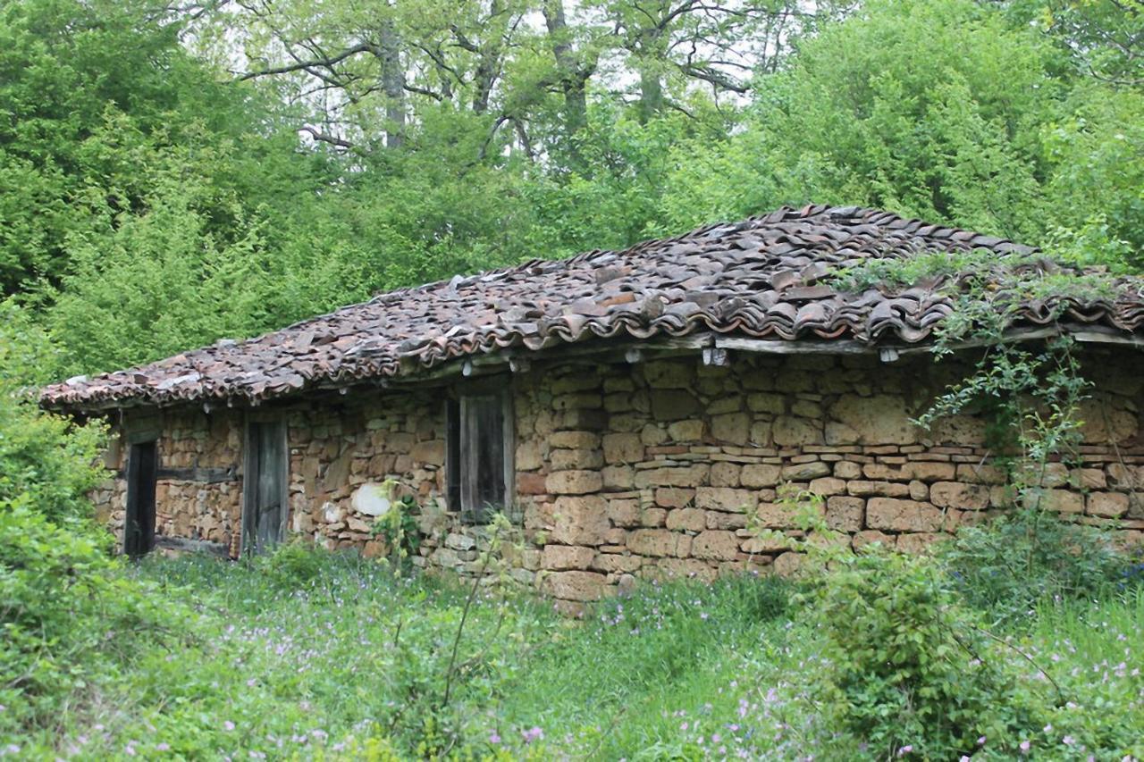 Hunting Residence Asteya Gramatikovo Eksteriør billede